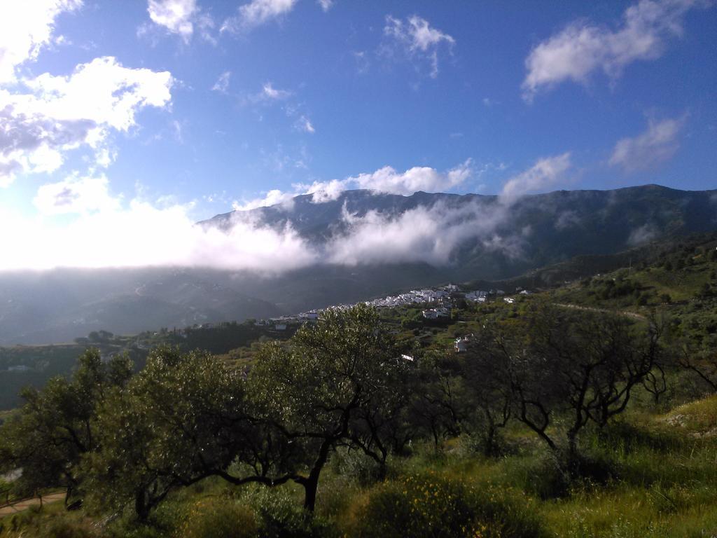 La Vista Bed & Breakfast Cómpeta Dış mekan fotoğraf