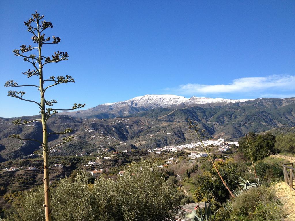 La Vista Bed & Breakfast Cómpeta Dış mekan fotoğraf